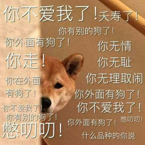 外面有狗了stickers