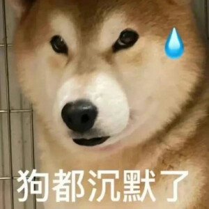 小狗都沉默了表情图