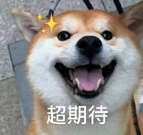 柴犬超期待表情符号