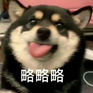 dogs略略略调皮狗表情