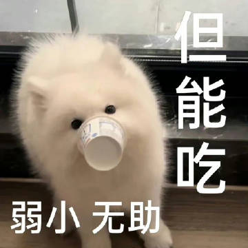 狗狗可爱stickers