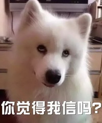 狗狗表情包你觉得我信吗