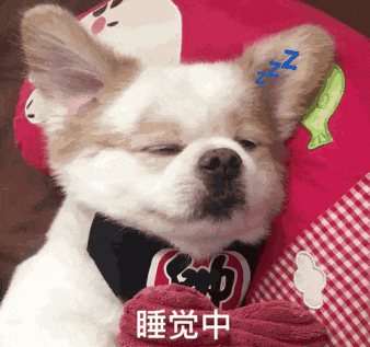 狗狗表情包睡觉中