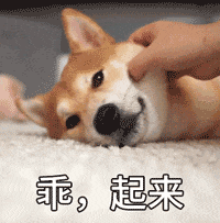 柴犬表情符号
