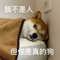 狗狗表情包你是真的狗
