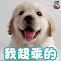 狗狗表情包我超乖的