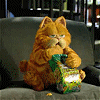 小猫咪吃零食搞怪动图GIF