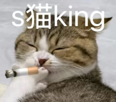 S猫king奇奇怪怪表情包动图GIF