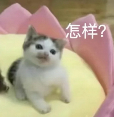 怎样？猫咪发疯表情包