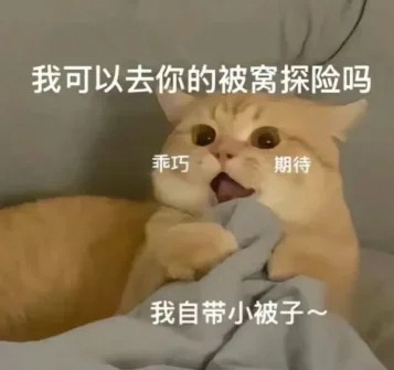 我可以去你的被窝探险吗？实用表情包