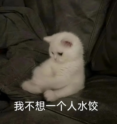 我不想一个人水饺宠物表情包