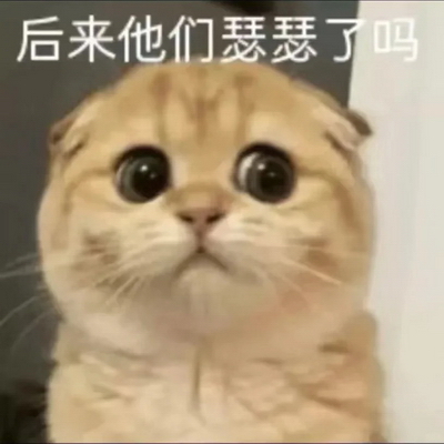 猫咪表情包搞笑表情