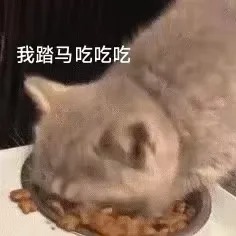 奇奇怪怪表情包动图GIF