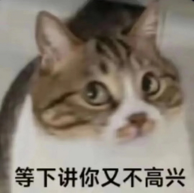 等下讲你又不高兴实用表情包