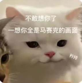 不敢想你贱贱的表情包