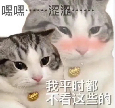 涩涩色色猫咪表情包搞笑表情