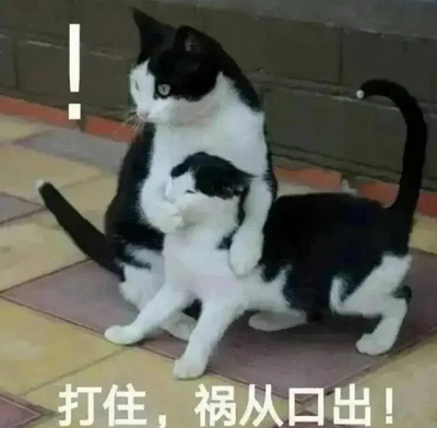 奇奇怪怪表情包动图GIF