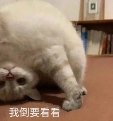 我倒要看看发疯表情包