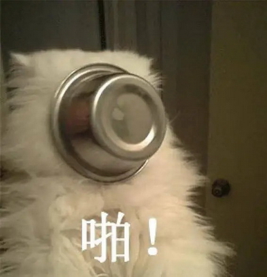 啪 实用表情包