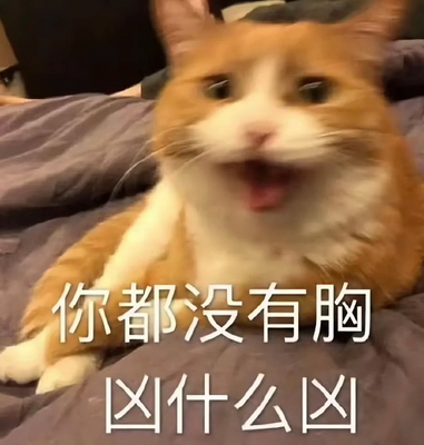 你都没有胸贱贱的表情包