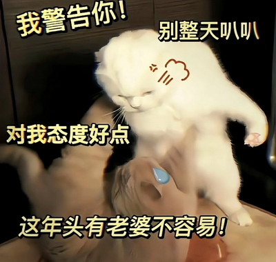 猫咪表情包搞笑表情