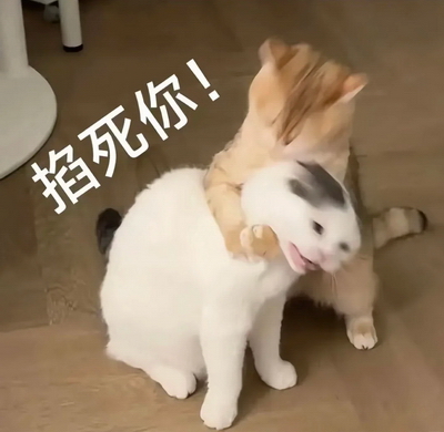 奇奇怪怪表情包动图GIF