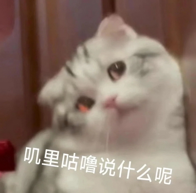 说什么呢实用表情包