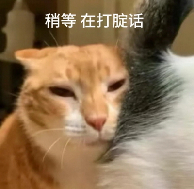 在打腚话宠物表情包