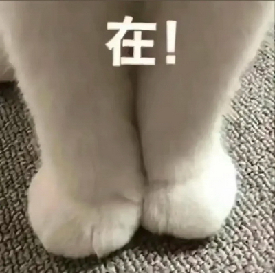 奇奇怪怪表情包动图GIF
