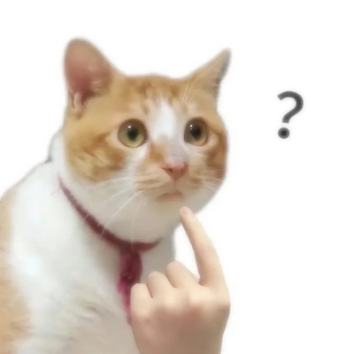 我？实用表情包