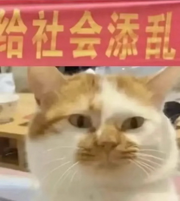 贱贱的表情包