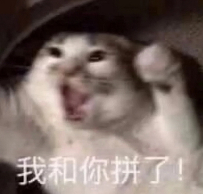 猫咪表情包搞笑表情