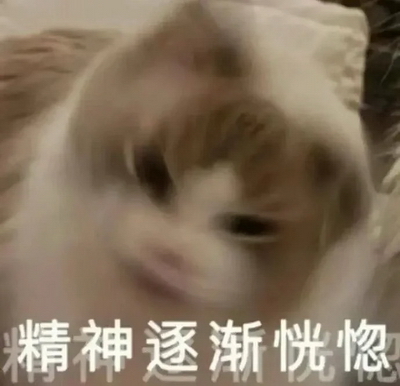 发疯表情包