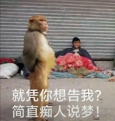 就凭你想告我？实用表情包