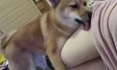 贱贱的表情包