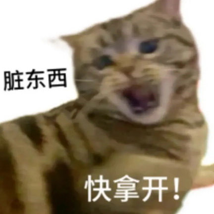 小猫表情包