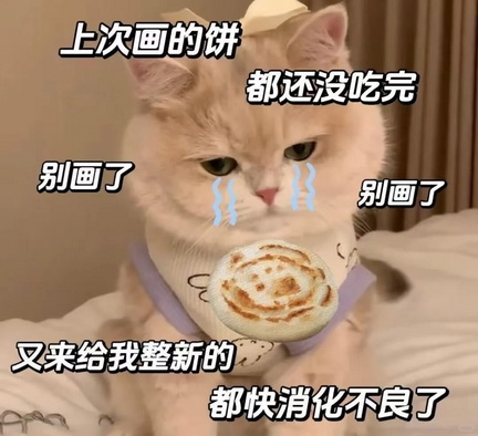 cats表情图片下载