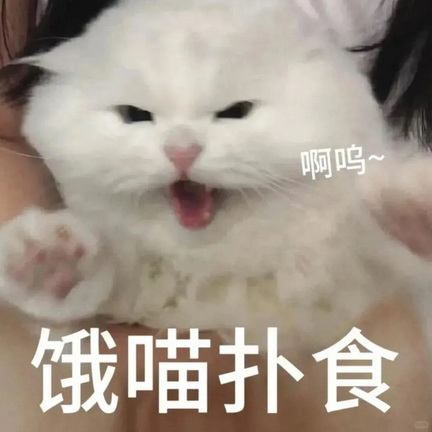 可爱小猫表情包