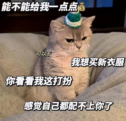 猫咪抽象Emoji搞笑表情