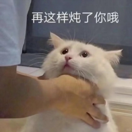 小红书猫咪表情符号动图GIF