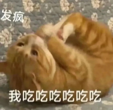 cats表情图片下载