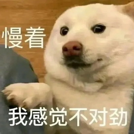 猫咪抽象Emoji搞笑表情