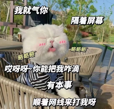 cats表情图片下载