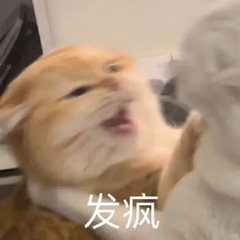 猫咪抽象Emoji搞笑表情