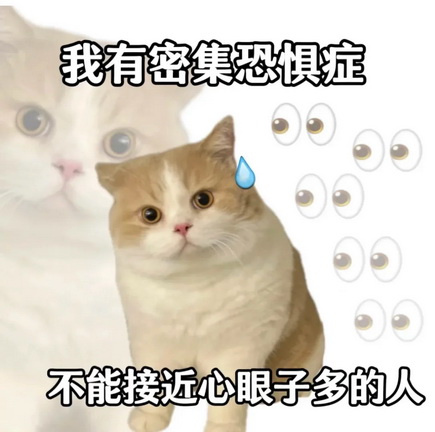 小红书猫咪表情符号动图GIF
