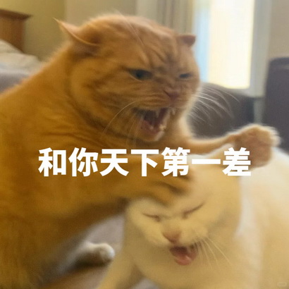 可爱小猫表情包