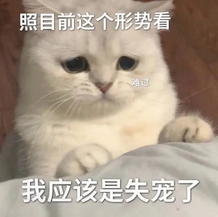 小猫咪表情包