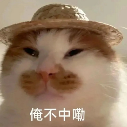 猫咪抽象Emoji搞笑表情