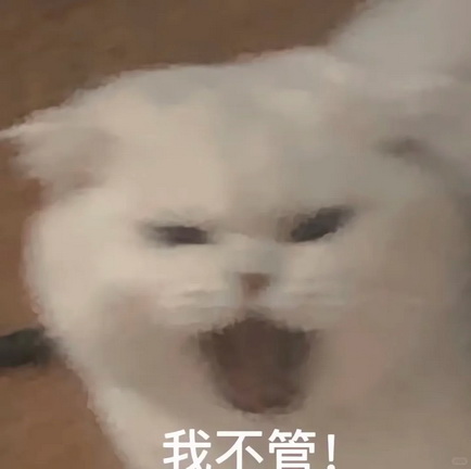 小红书猫咪表情符号动图GIF