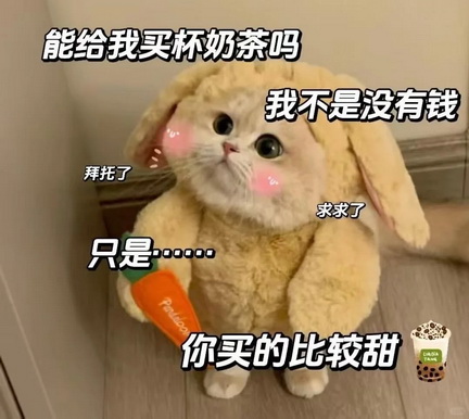 可爱小猫表情包